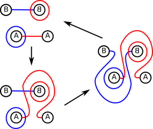 Heegaard Diagram Loop